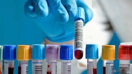 經(jīng)緯中國參投這家寵物醫(yī)療機(jī)構(gòu) 腫瘤篩查服務(wù)商完成近億元b輪融資 投資速遞